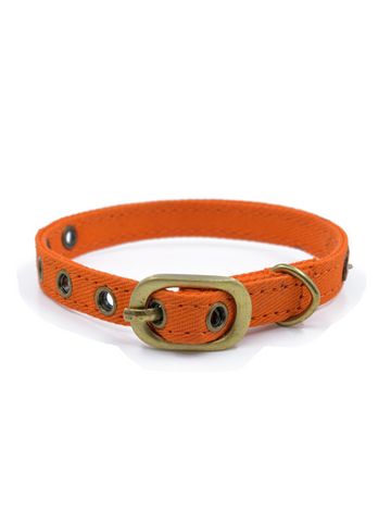 PetWale Cat Collar - Orange