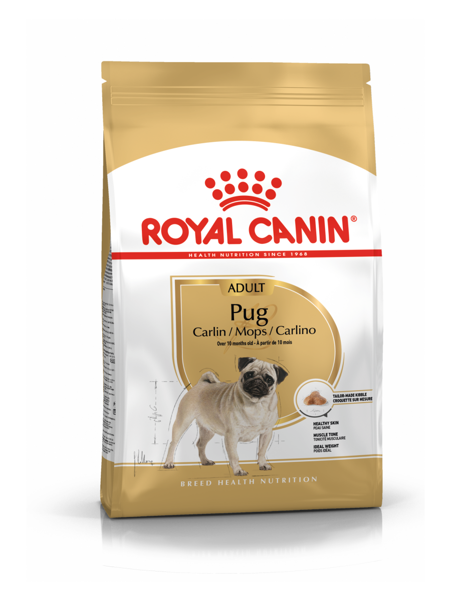 Royal Canin Pug Adult Dry Dog Food