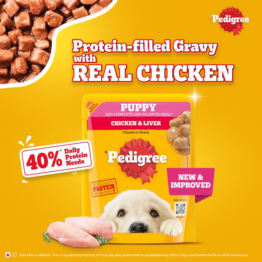 Pedigree Puppy with Chicken Chunks In Gravy 70g
