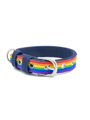 Petwale Rainbow Pride Belt Collar - S