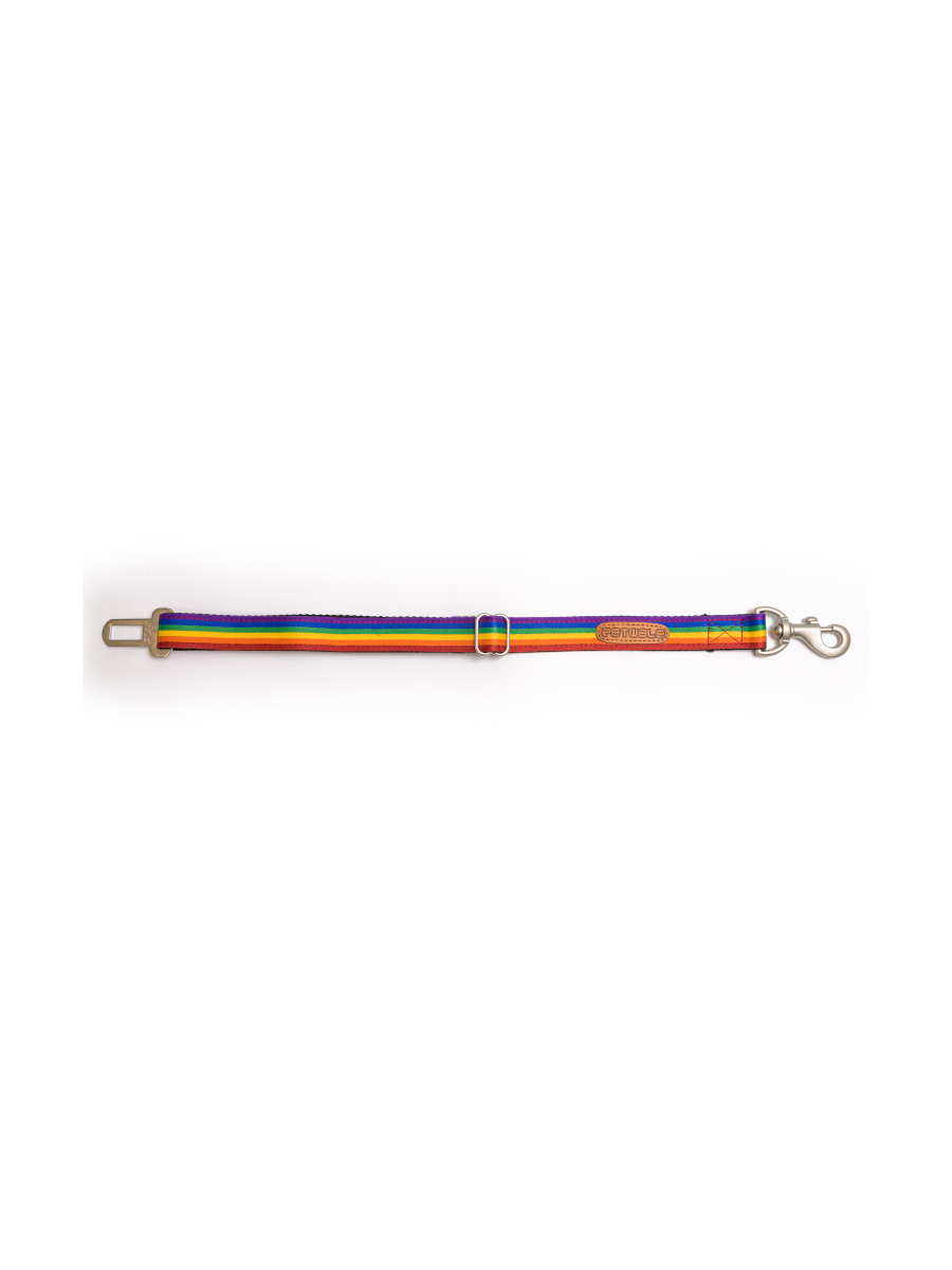 PetWale Rainbow Pride Car Seat Belt