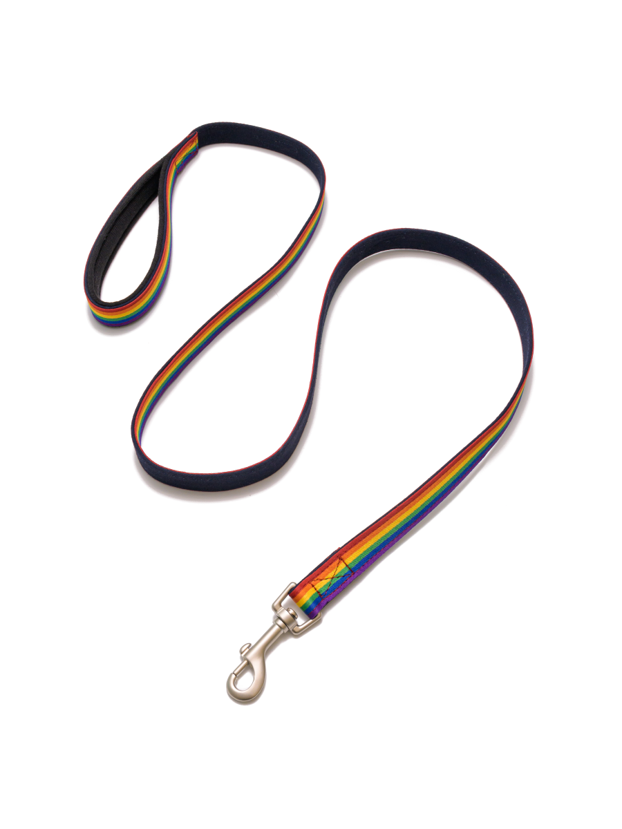 PetWale Rainbow Pride Leash with Padded Handle - M