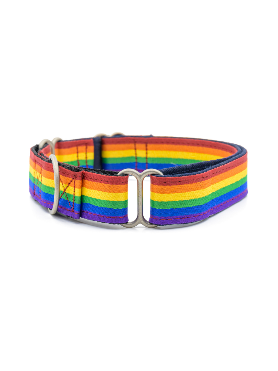 PetWale Rainbow Pride Martingale Collar - L