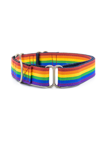 PetWale Rainbow Pride Martingale Collar - S