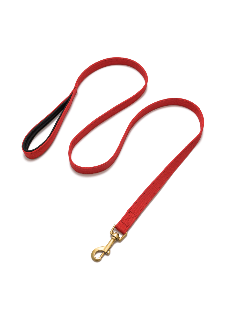 PetWale Red Leash with Padded Handle - L