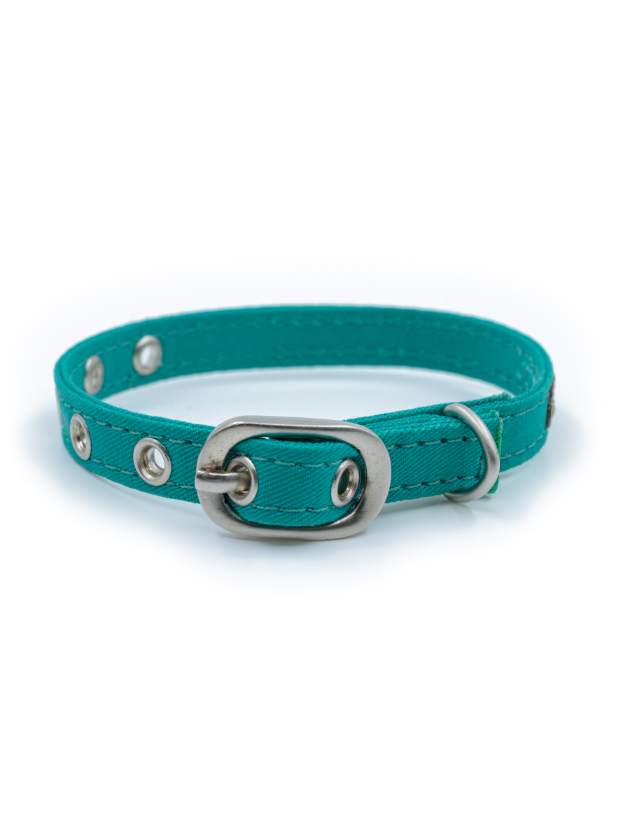 PetWale Cat Collar - Turquiose